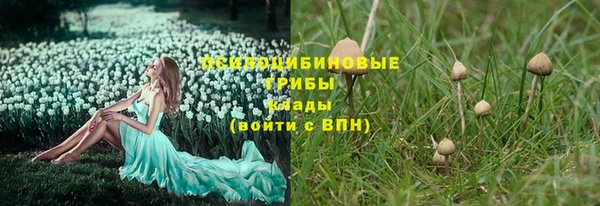 таблы Белоозёрский