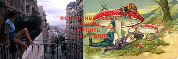 мдпв Белокуриха
