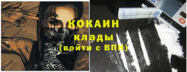 мдпв Белокуриха