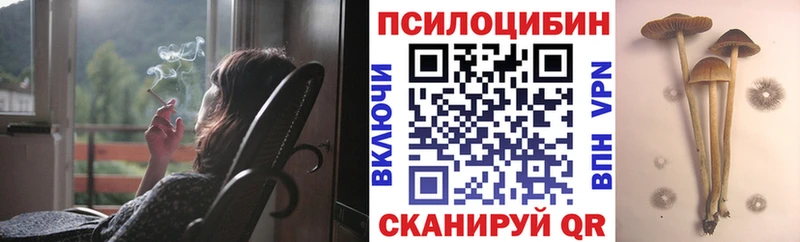 Галлюциногенные грибы прущие грибы  Колпашево 